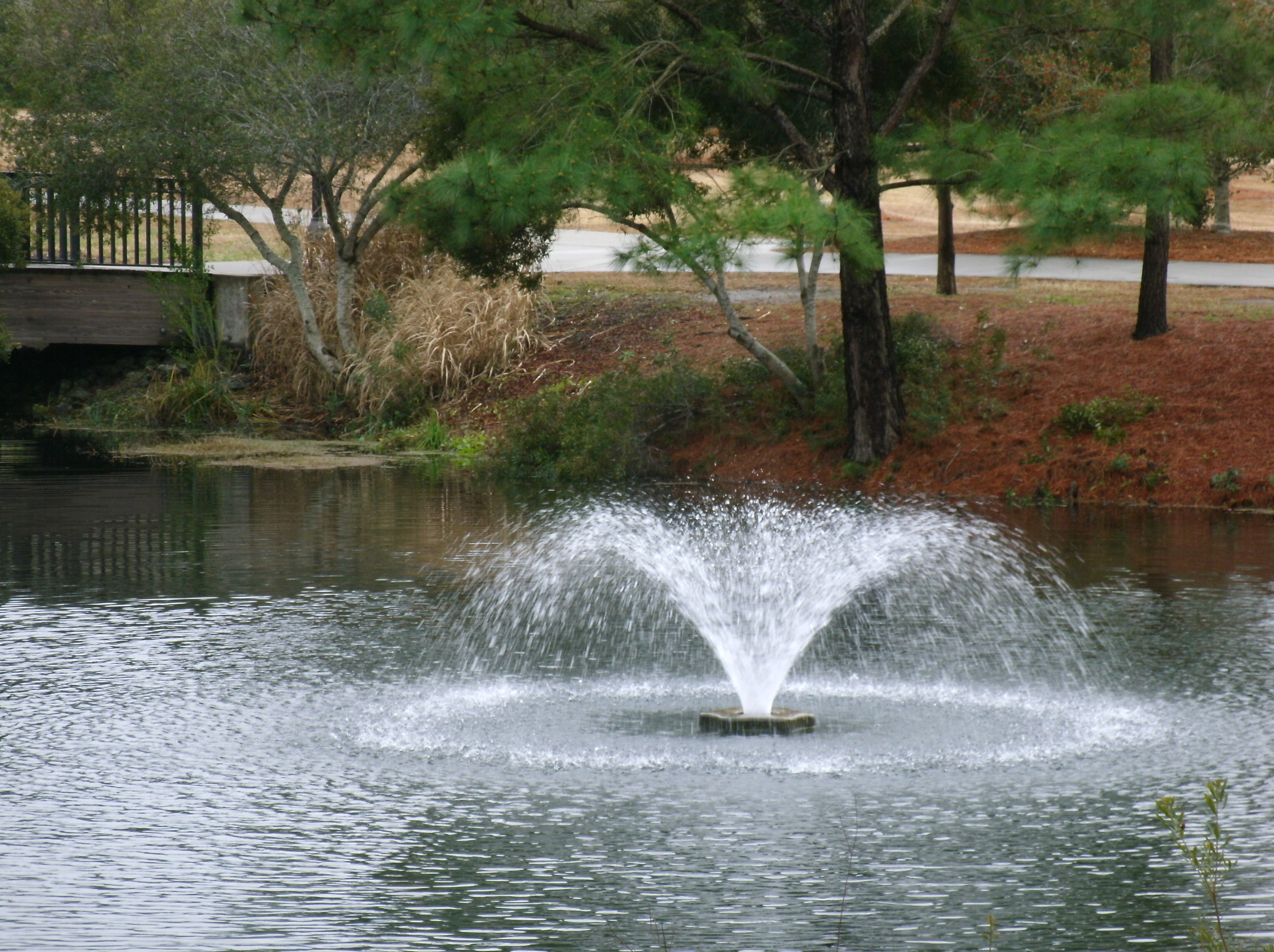 fountain