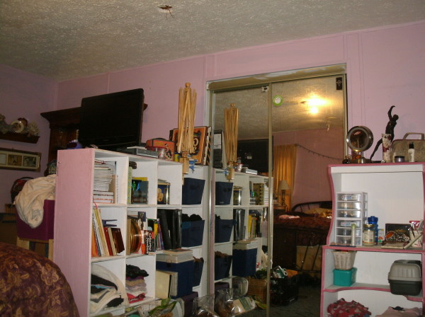 GEDSC DIGITAL CAMERA
